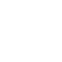 Icono